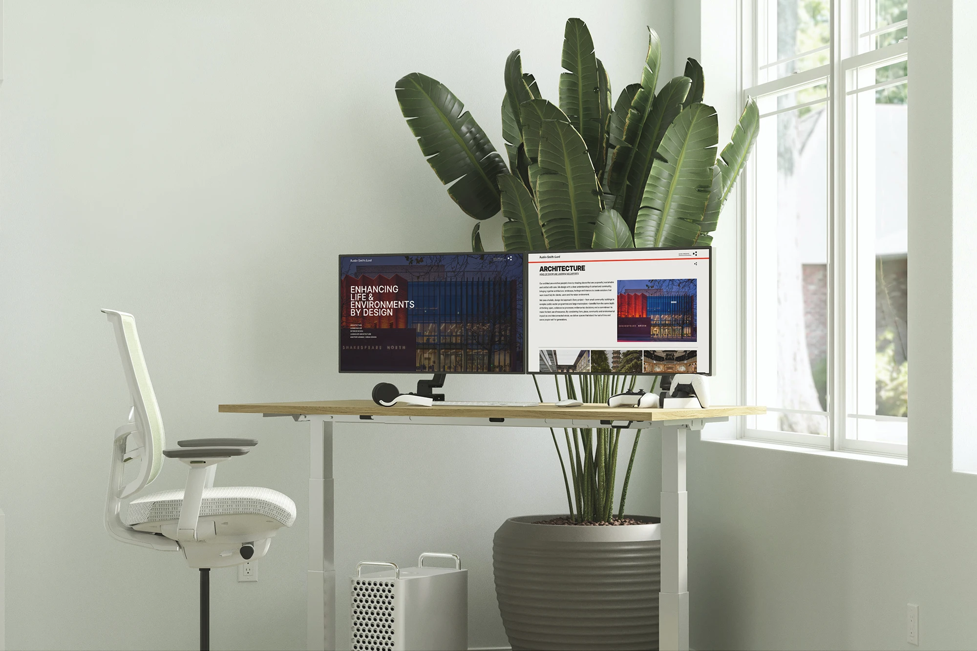 Modern workspace with dual monitors, white chair, and large potted plant near window.